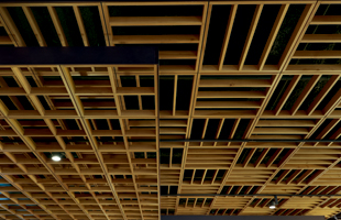 Woodworks Ceilings by Armstrong