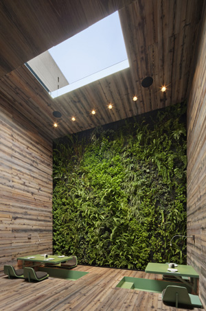 Rd D Green Design Wallcoverings Can Play A Role In Sustainability