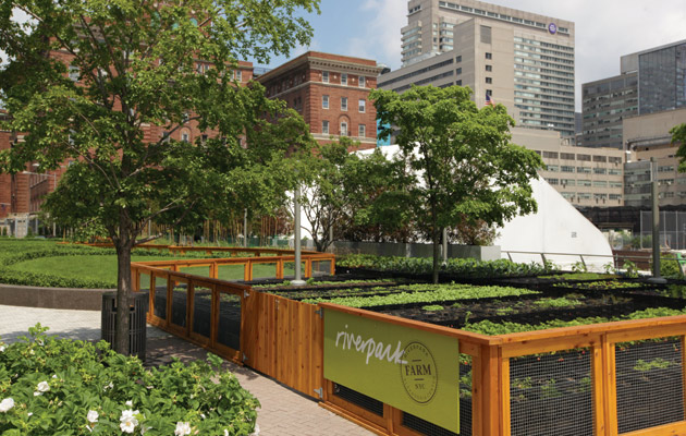 rd+d - On-site Gardens Add Fresh, Uberlocal Appeal