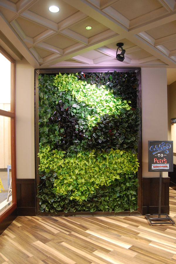 Peets plant wall