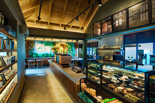 Jamaica Starbucks Store web2