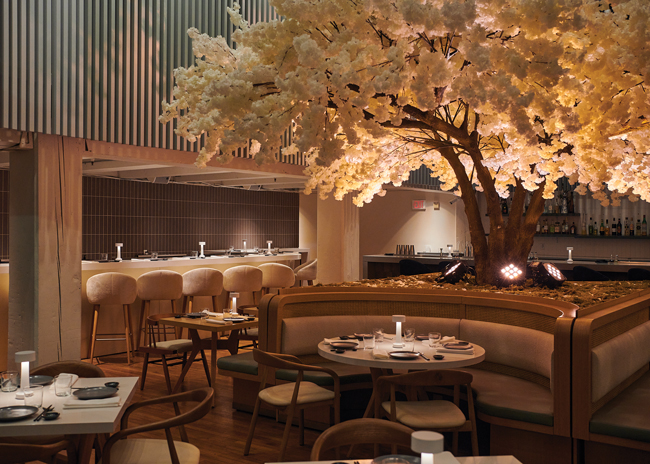 The designers added lighting beneath the 15-foot faux cherry tree and installed banquettes around its base. A sushi bar glows against the back wall. Image courtesy of Joey Wrinn