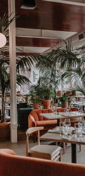 dining room vertical  trees