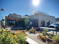 grow gather cover image