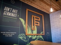 grow gather market beauty