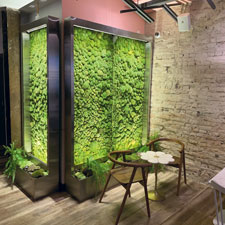 Verdure Living Moss Walls 